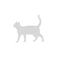 chat vector logo design.vector chat silhouette vue ct pour logos rtro,  isol sur fond blanc 12188430 Art vectoriel chez Vecteezy
